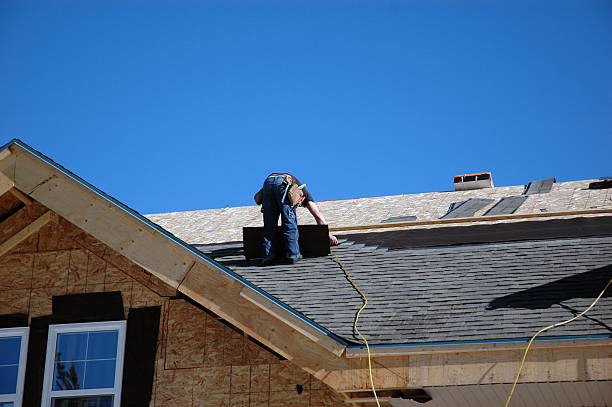 Best Roof Moss and Algae Removal  in Hallam, PA